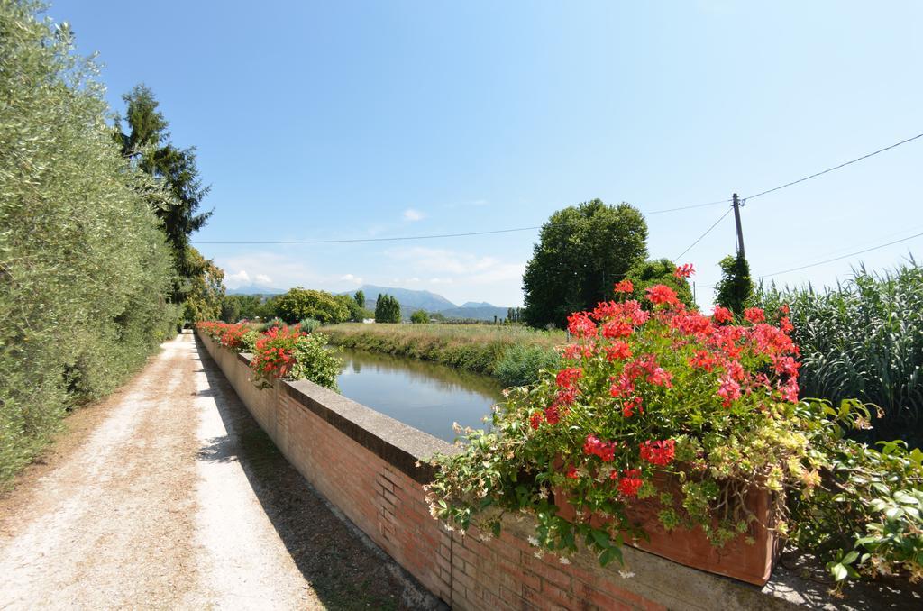 Casa Romana เวียเรจโจ ภายนอก รูปภาพ