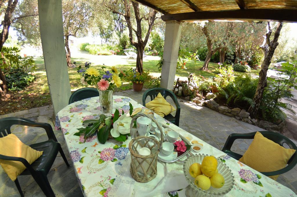 Casa Romana เวียเรจโจ ภายนอก รูปภาพ